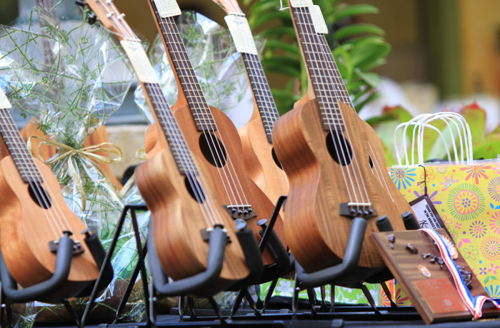 Ukulele Contest 2013